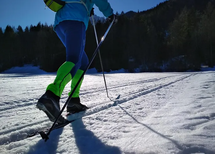 公寓 Triglav 莫斯特拉纳